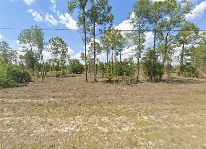 3003 10th St, Lehigh Acres, Florida 33972