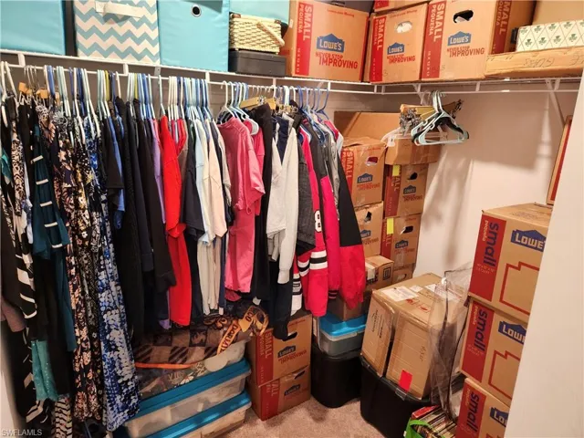 Walk in closet with carpet floors
