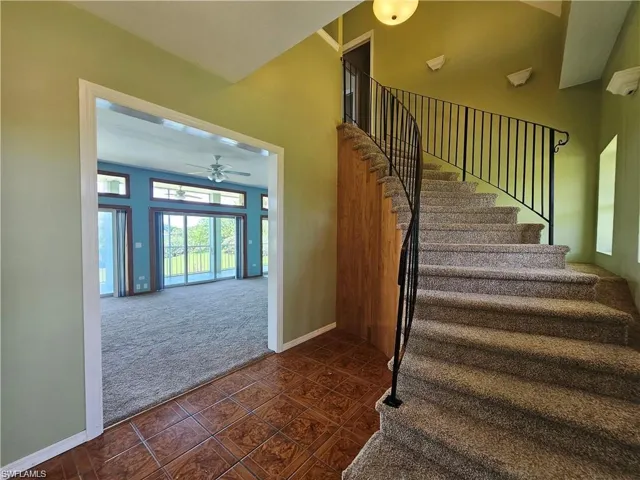 Stairway featuring carpet and ceiling fan