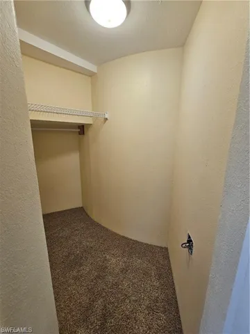 Spacious closet featuring dark colored carpet
