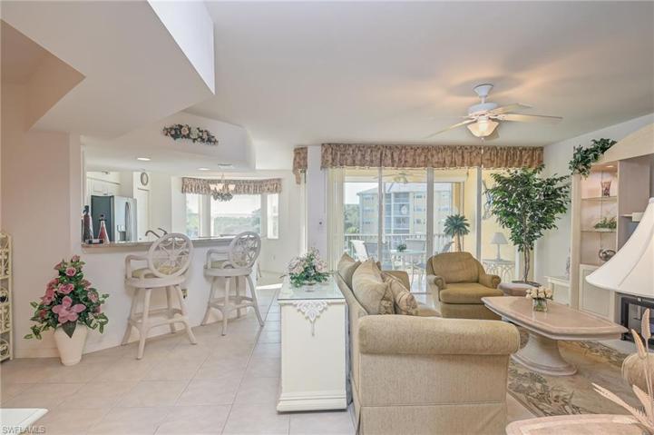 Living Room and Kitchen Counter