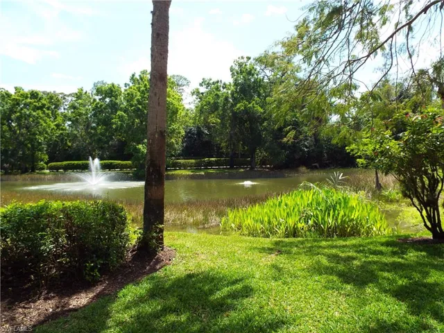 pond view to the south