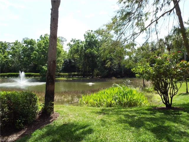 South View of pond