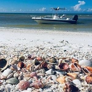 Quick boat ride to Sanibel Island which is well known as the Shelling capital of the world!