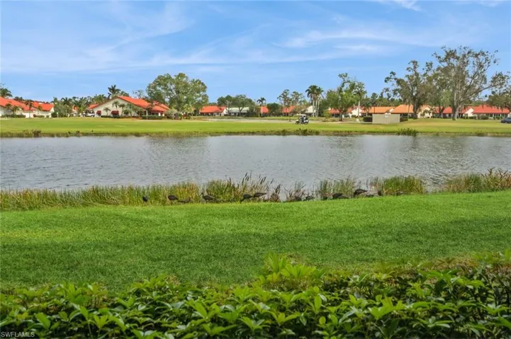 Water view