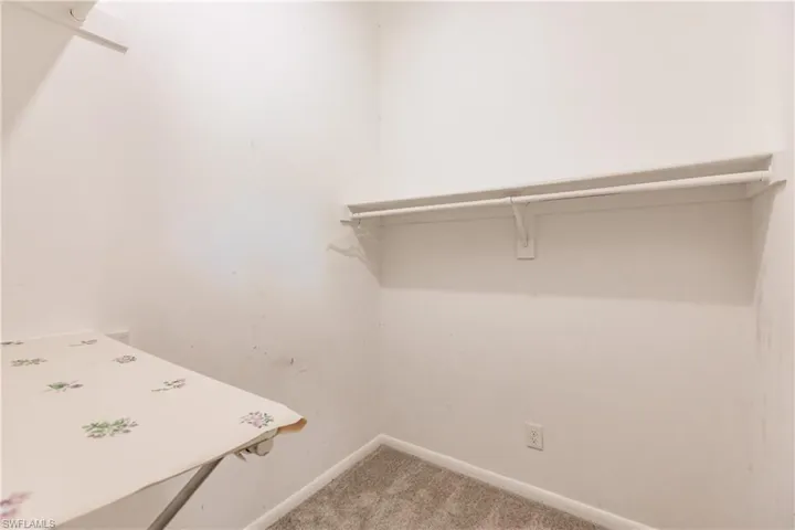 Spacious closet featuring carpet floors
