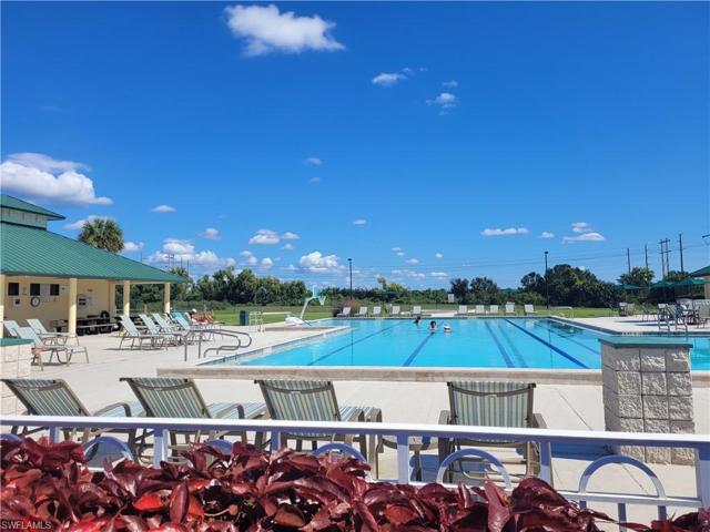 Gateway Commons lap pool and picnic area