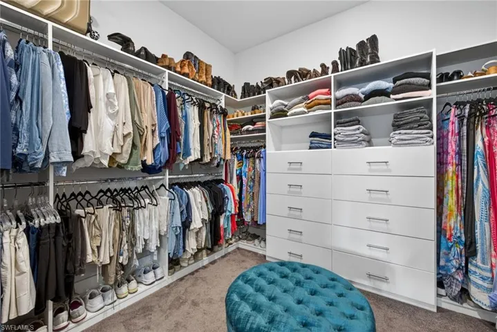 Walk in closet with carpet floors