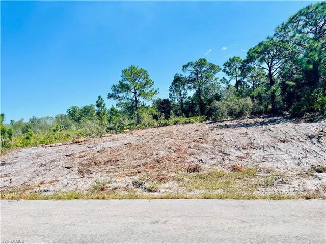 1822  Styles  CT, Lehigh Acres, FL 33972