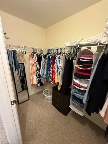 Spacious closet featuring light carpet