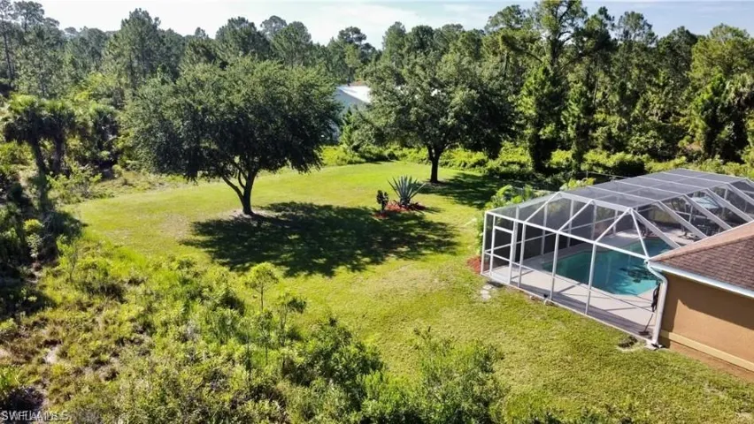 Drone / aerial view of a tree filled landscape