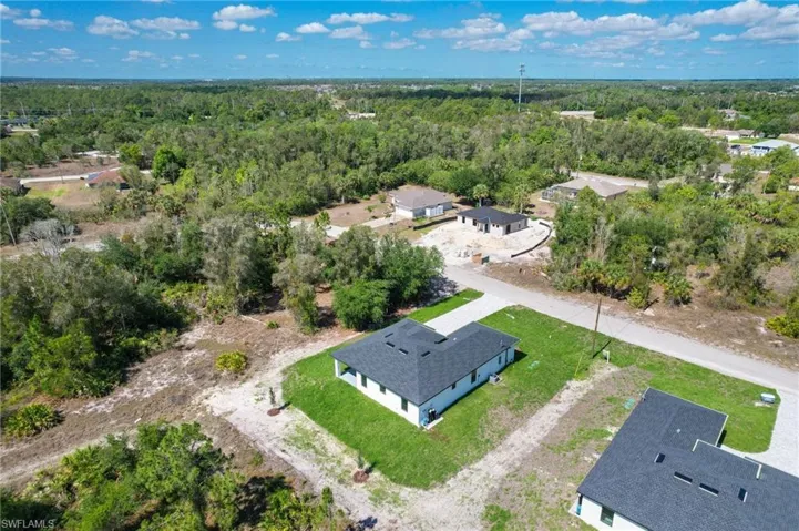 Bird's eye view of a forest