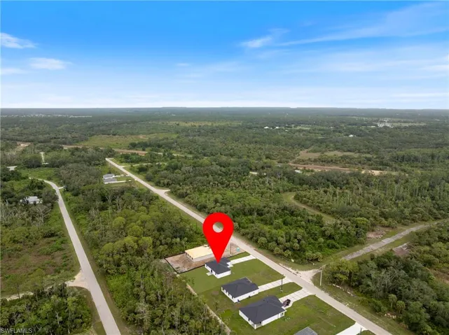 Aerial view of a forest