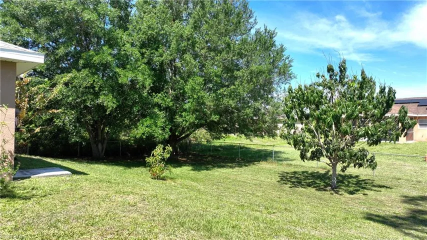 Fenced back yard with fruit trees.