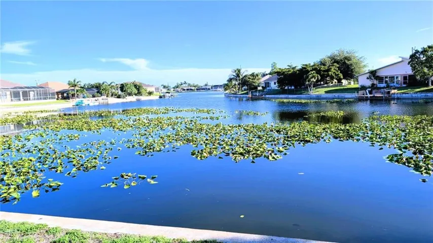 Water view