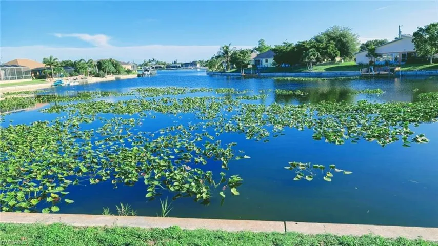 Water view