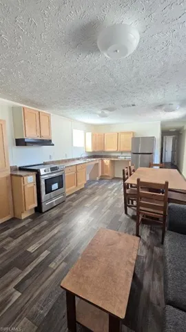 Kitchen with light wood finish cabinetry, stainless steel appliances, a textured ceiling, and dark wood-style flooring