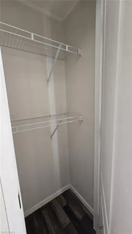 Walk in closet with dark wood finished floors