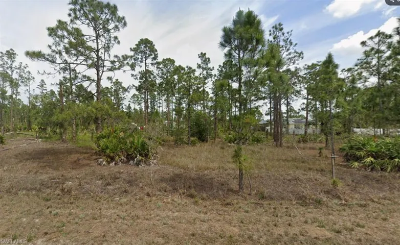 View of local wilderness