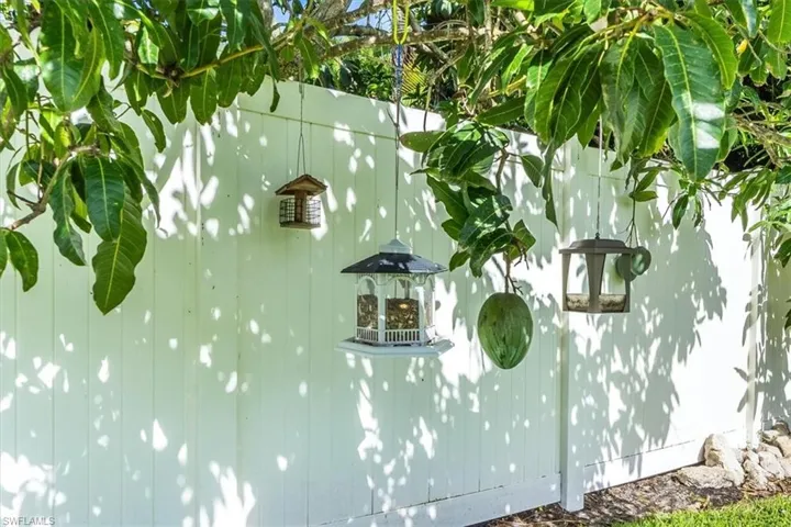 Mature fruit trees