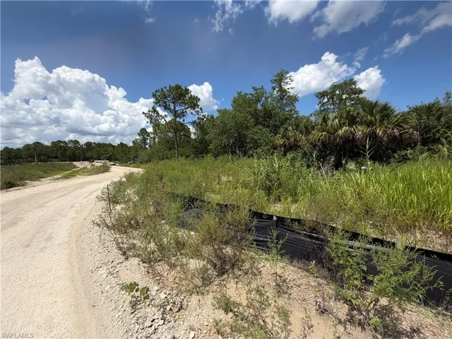 BEHIND LOT