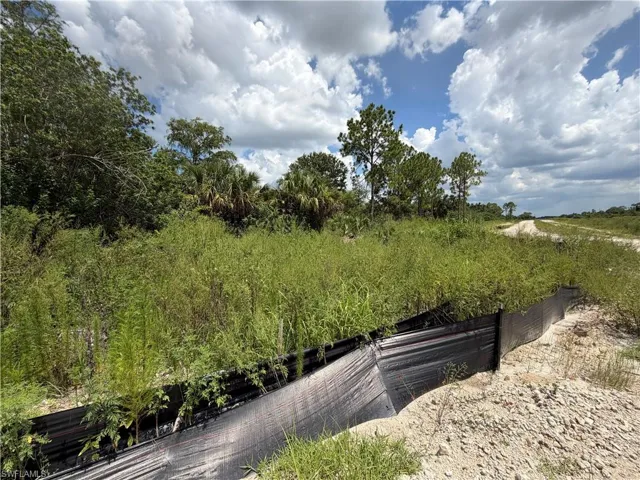 3301 Terry Ave N, Lehigh Acres, Florida 33971