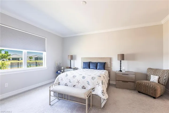 Carpet and Crown Molding ~ Large Window ~ Custom Blinds