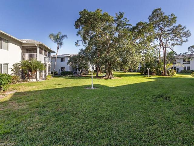 Back yard landscaped area
