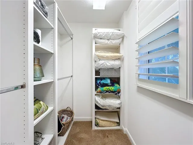 1st floor Bedroom or Flex Room closet