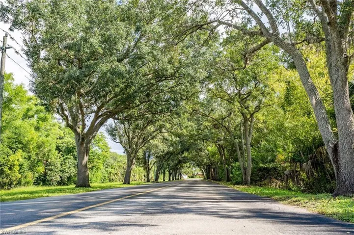 Oak Tree Lined Entry!