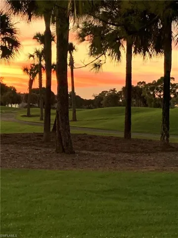 Sunset view