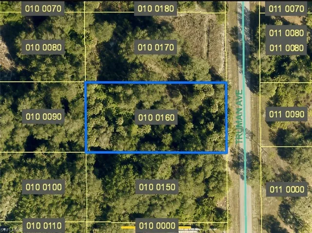 1607 Truman Ave, Lehigh Acres, Florida 33972