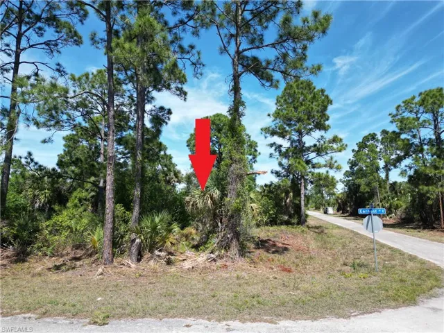 920 Mayfield Ave S, Lehigh Acres, Florida 33974