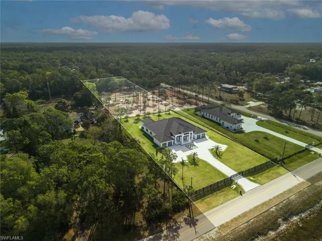 Bird's eye view of a forest
