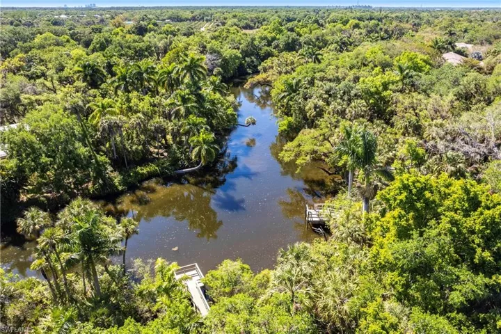 Drone / aerial view featuring a forest view and a water view