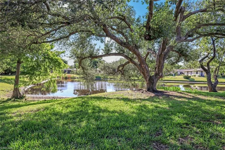 Tranquil eastern screened lanai view of Live Oak and lake!  Watch the sun rise in the morning then enjoy the nicely shaded lanai the rest of the day and all evening.