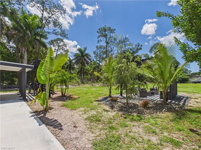 Expansive outdoor space featuring a concrete patio, mature palm trees, and a landscaped rock garden