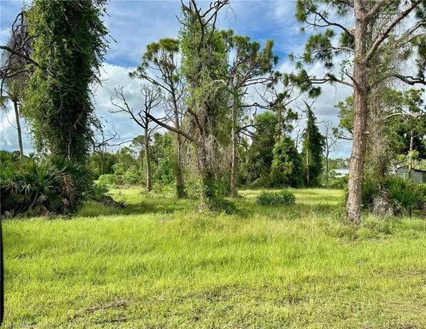 View of nature
