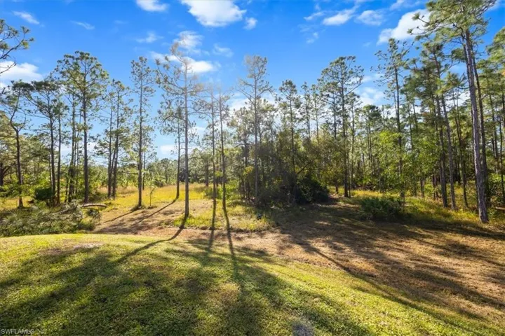 Private Wooded Area / Yard