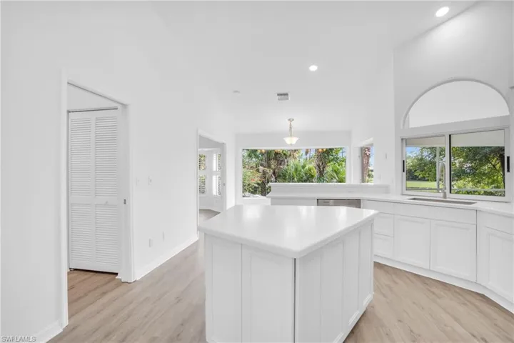 Kitchen with light hardwood / wood-style flooring, a wealth of natural light, a kitchen island, and sink