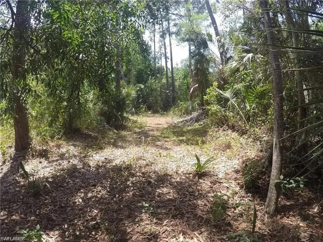 5700 Cedar Tree Ln, Naples, Florida 34116