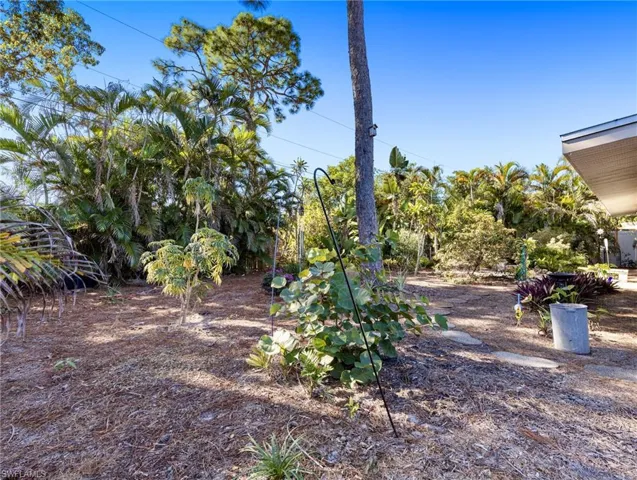 Tropical maintenance free backyard
