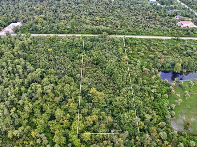 Expansive undeveloped lot featuring dense natural foliage and mature trees