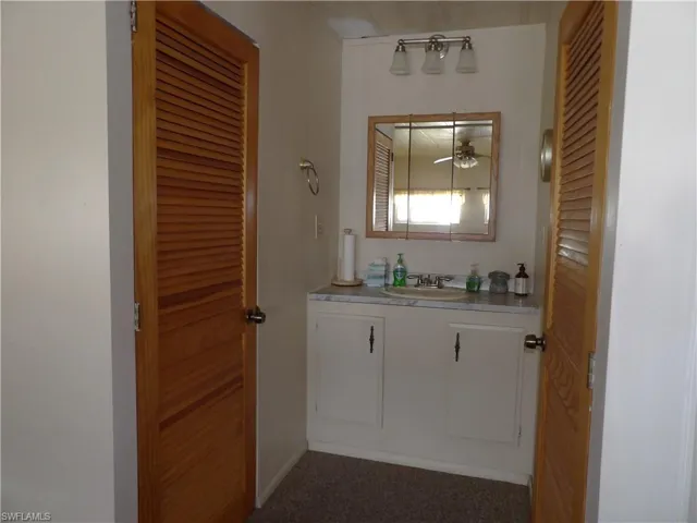 Bathroom featuring vanity and dark carpet