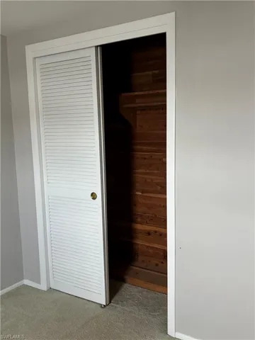 Guest Room Cedar Closet
