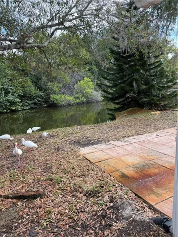 Southern water view with wildlife