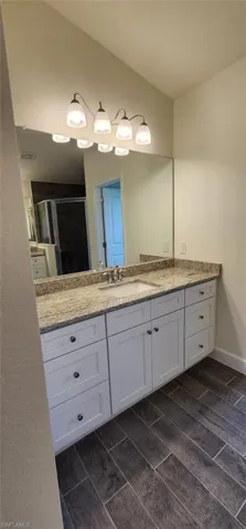 Full bath featuring vanity, wood tiled floors, and a shower stall