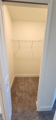Walk in closet featuring carpet floors