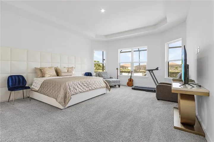 Carpeted bedroom with a raised ceiling