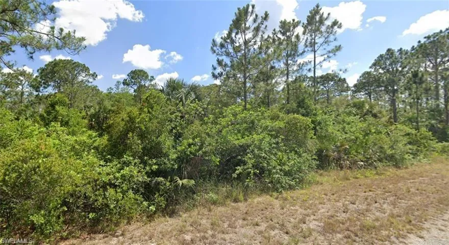 View of woods